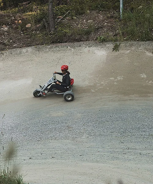 Mountaincarts